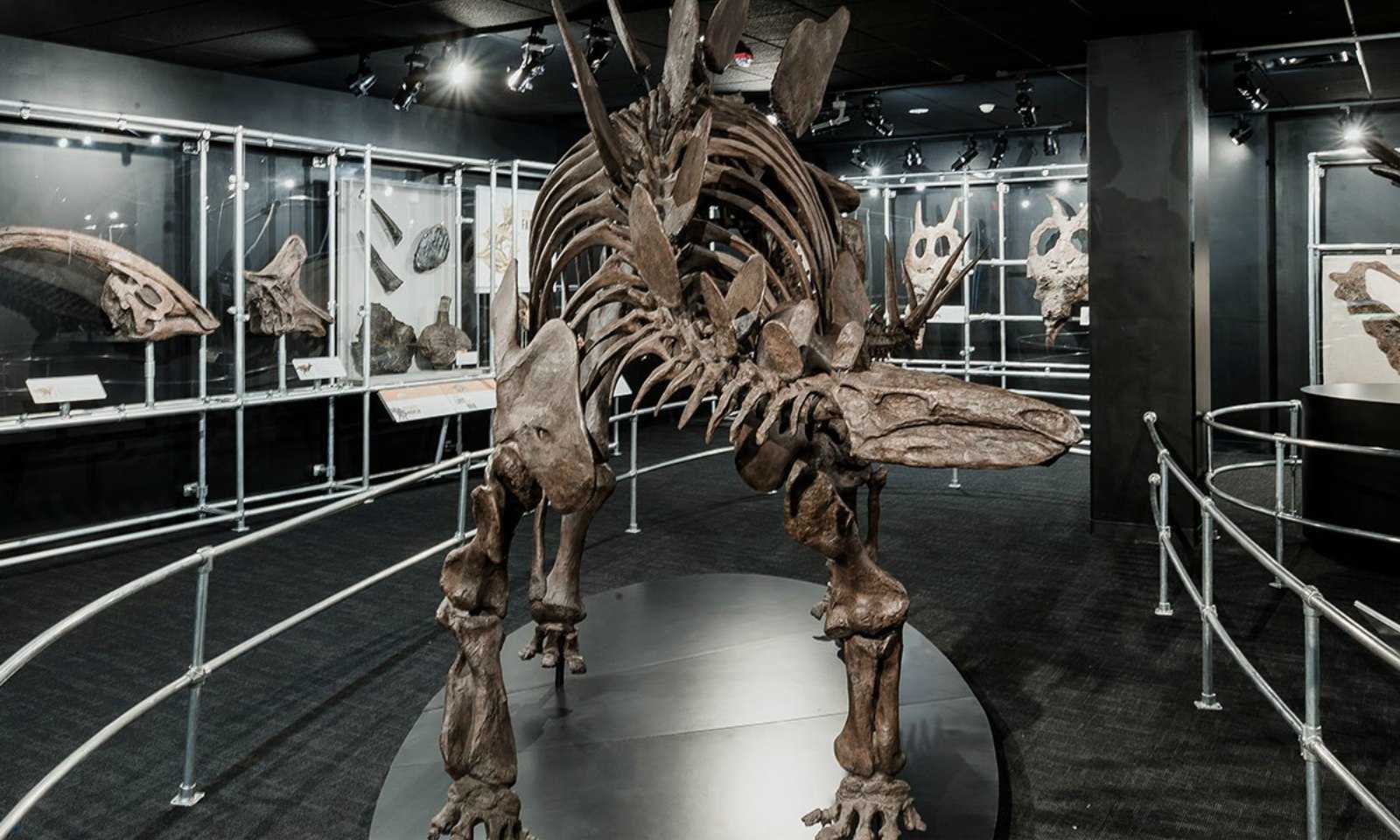 Dinosaur Gallery Opens at COSI